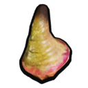 Potato Eye